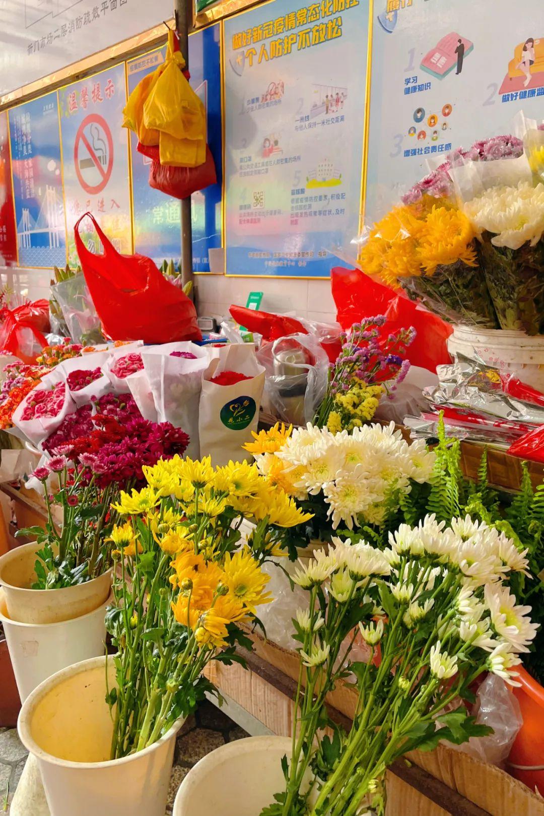 新門內(nèi)部資料最快更新，深度探索與前沿洞察，新門內(nèi)部資料更新速遞，深度探索與前沿洞察揭秘