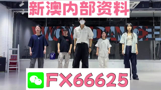 新澳天天開獎資料大全最新版詳解，新澳天天開獎資料大全最新版詳解及中獎秘籍