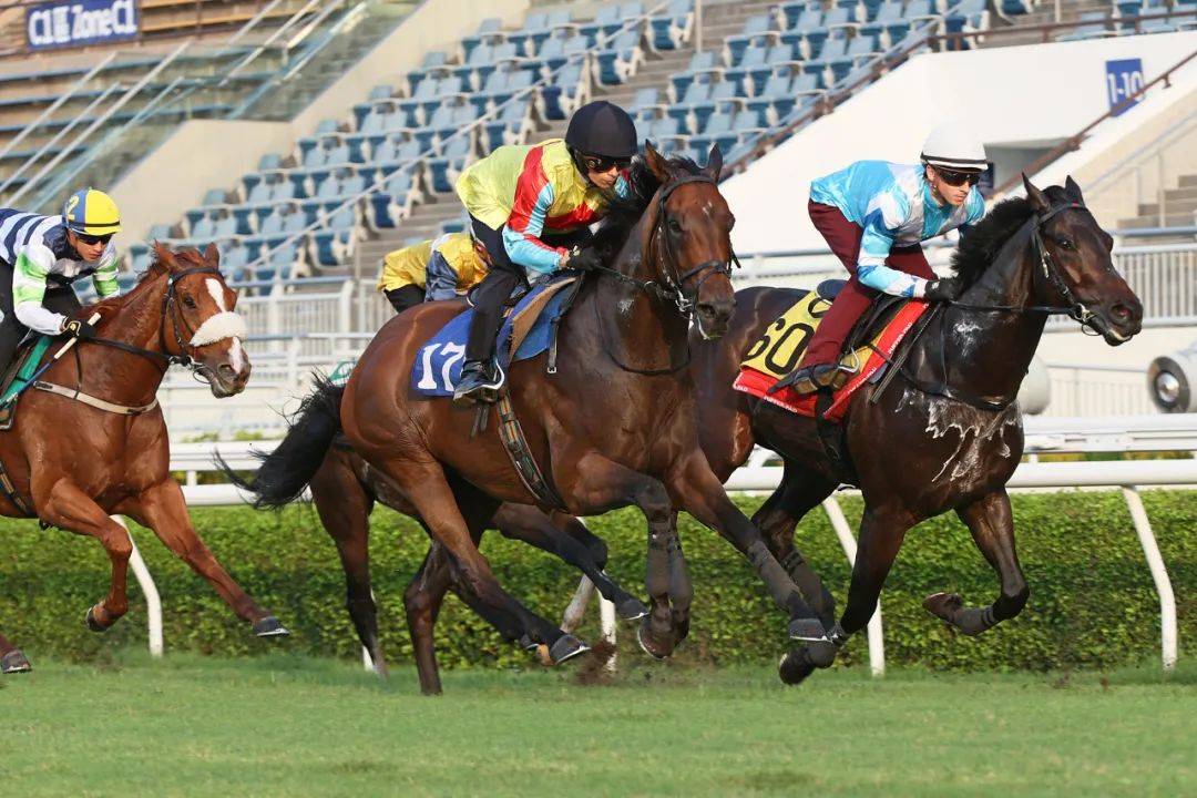 香港馬，77777與88888的傳奇故事，香港賽馬傳奇，77777與88888的傳奇篇章