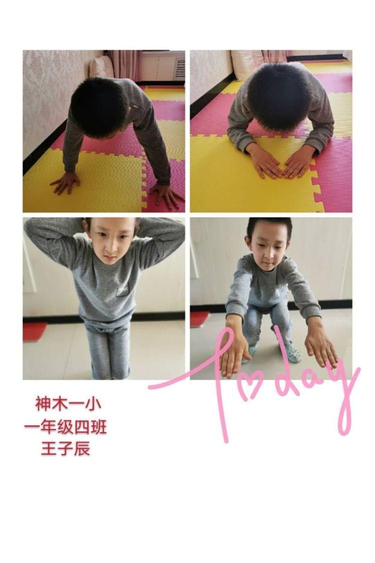 新天天彩免費資料大全，探索與解析，新天天彩免費資料大全，深度探索與解析