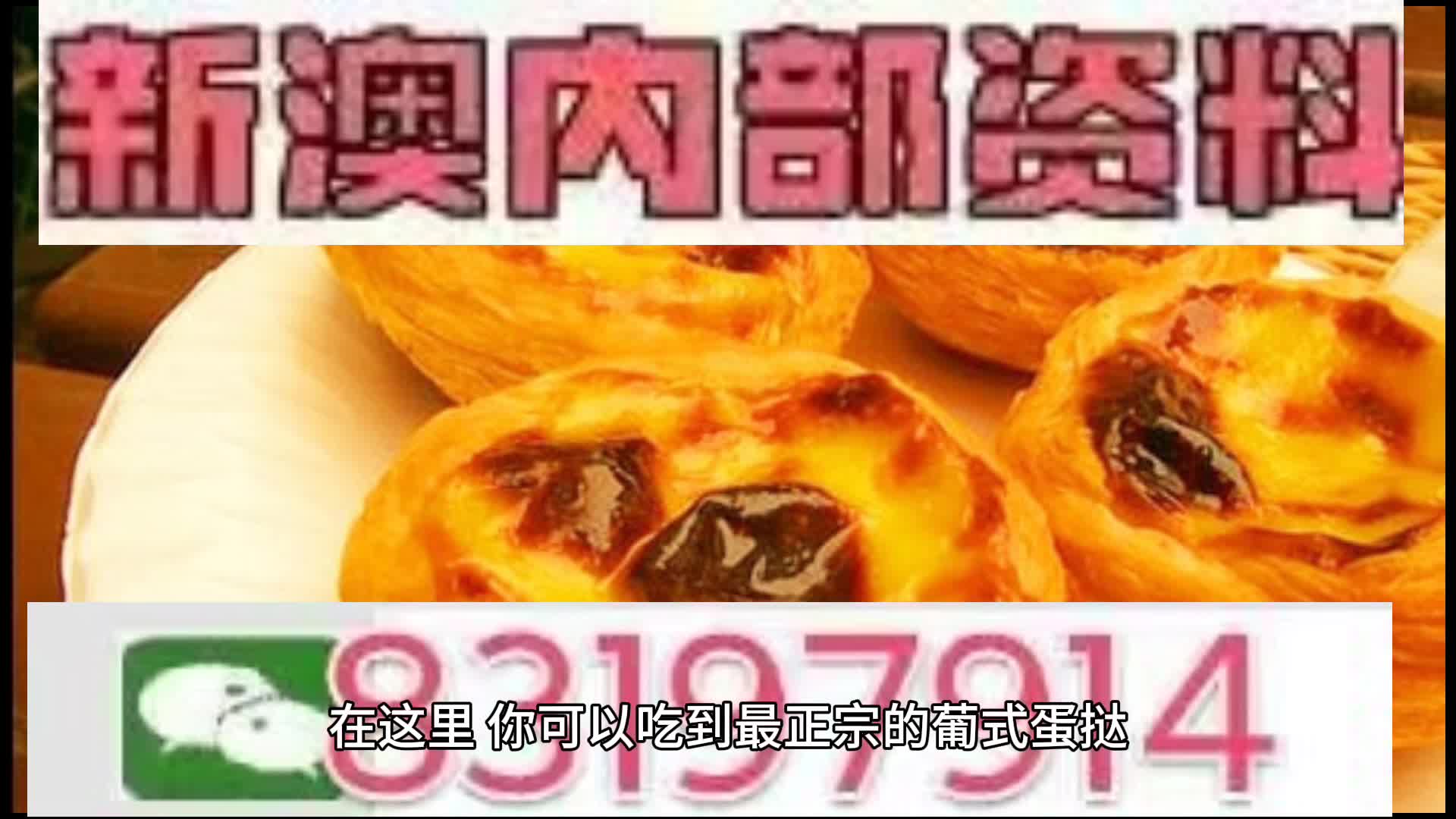 探索未來(lái)，2025新澳門(mén)中特網(wǎng)的發(fā)展與展望，2025新澳門(mén)中特網(wǎng)的發(fā)展展望，探索未來(lái)之路