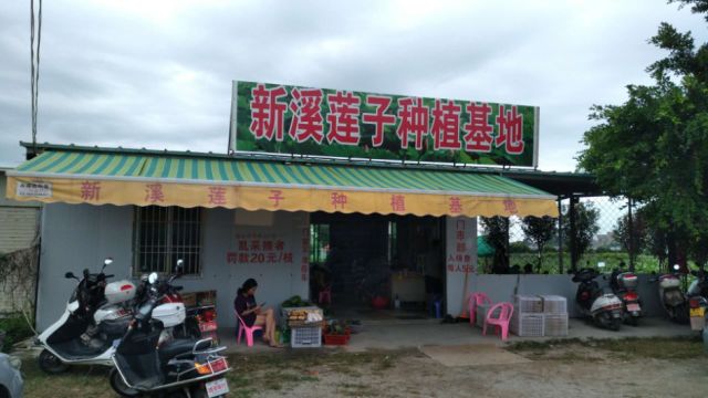新溪門免費資料大全，探索與收獲，新溪門免費資料探索之旅，收獲與成長