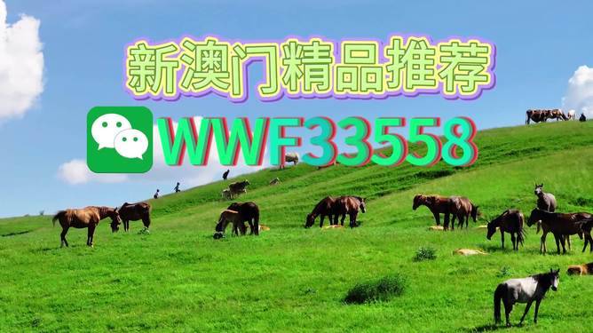 揭秘精準(zhǔn)四生肖，探尋數(shù)字組合77777與88888背后的奧秘，揭秘精準(zhǔn)四生肖與神秘?cái)?shù)字組合77777與88888的奧秘探索