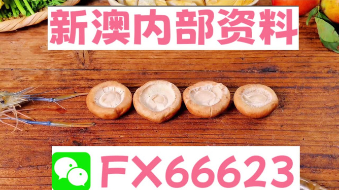 新澳全年免費資料大全，探索與收獲，新澳全年免費資料大全，探索之旅與收獲的時刻