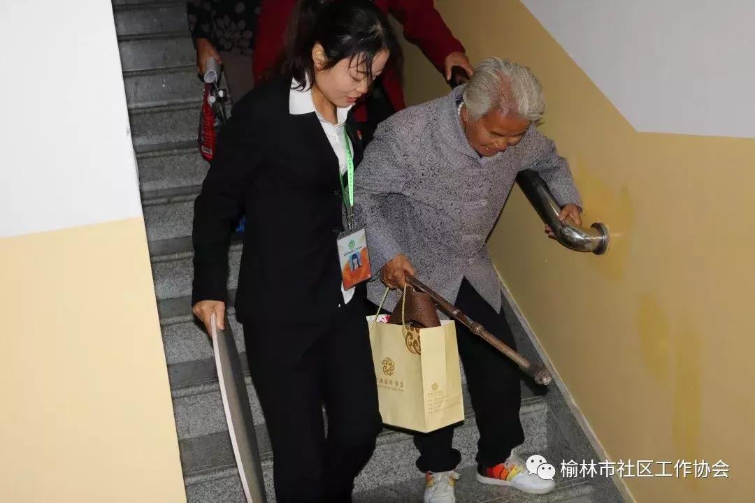 天天免費(fèi)資料彩票大全，探索彩票世界的奧秘與機(jī)遇，天天免費(fèi)資料彩票大全，揭秘彩票世界的奧秘與機(jī)遇