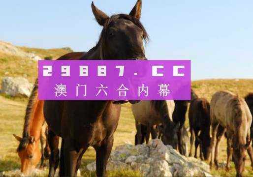 新澳門管家婆一特一中，探索現(xiàn)代博彩管理的典范，現(xiàn)代博彩管理典范，澳門管家婆一特一中探索之路