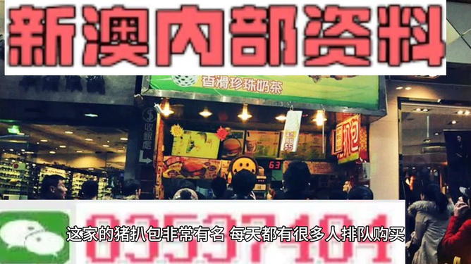 新奧天天精準(zhǔn)資料大全，深度解析與實(shí)際應(yīng)用，新奧天天精準(zhǔn)資料大全，深度解析及實(shí)際應(yīng)用指南