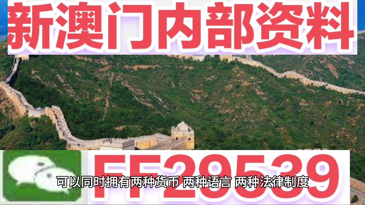 新澳門今晚開獎(jiǎng)結(jié)果號碼查詢表，探索彩票世界的神秘與期待，新澳門今晚開獎(jiǎng)結(jié)果查詢表，揭開彩票世界的神秘面紗與期待