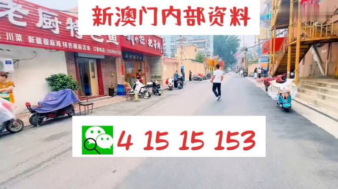 探索未來，2025新奧天天開好彩大全，探索未來奧秘，2025新奧天天彩精彩概覽