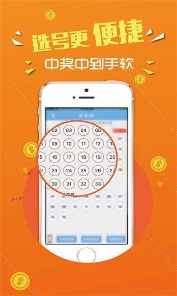 王中王論壇，心水交匯的智慧之地，王中王論壇，智慧交匯的心靈之地