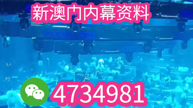 澳門特馬開獎結(jié)果，探索與期待2025年的奇跡，澳門特馬開獎結(jié)果，探索與期待未來奇跡（2025展望）