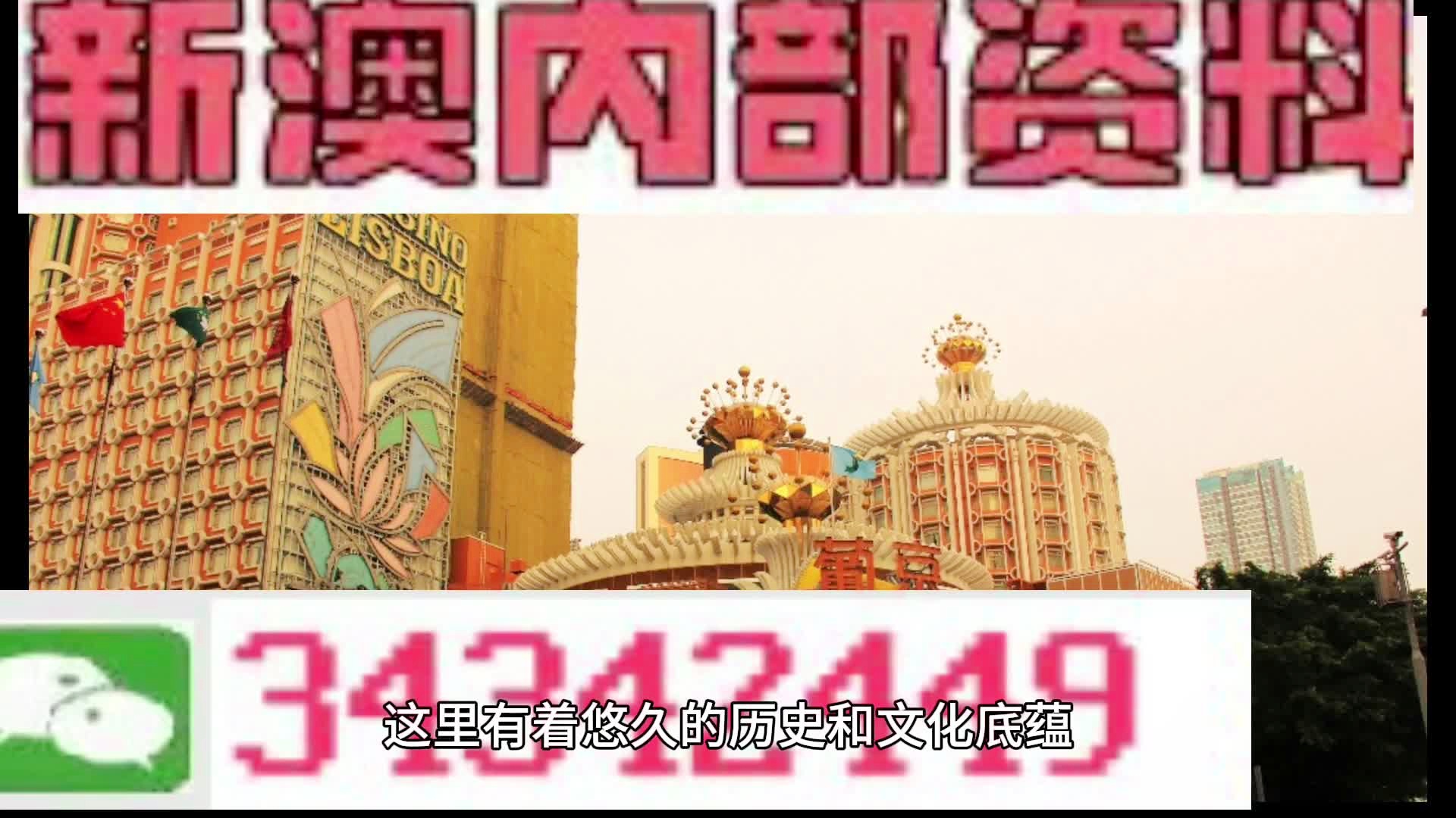 新門內(nèi)部免費資料大全，探索與啟示，新門內(nèi)部資料探索與啟示，免費資料大全