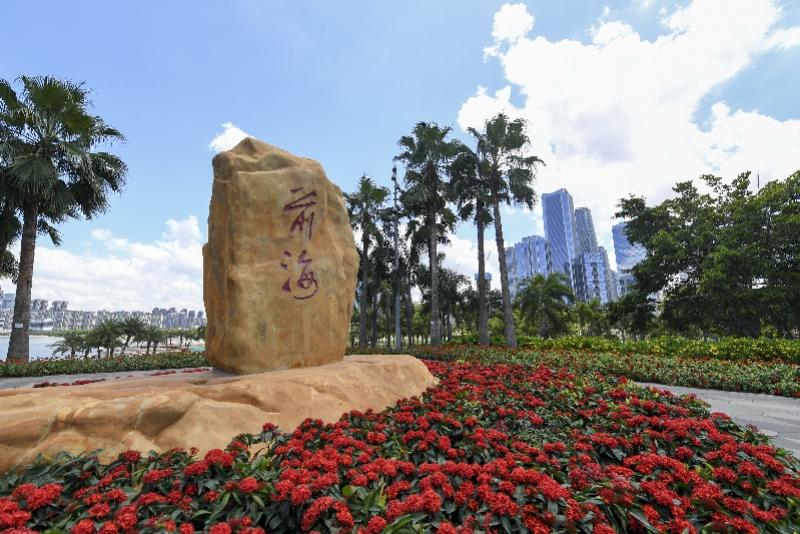新澳門內部精準公開，探索與解讀，澳門內部精準解讀，探索與揭秘