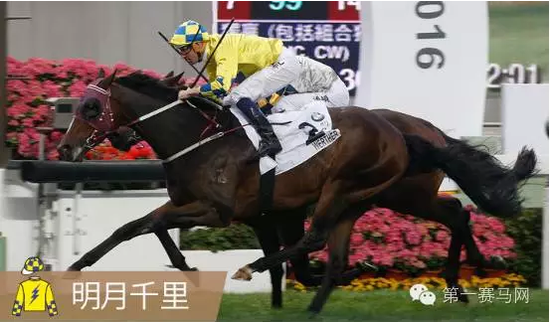 香港馬，77777與88888的傳奇故事，香港賽馬傳奇，77777與88888的傳奇篇章