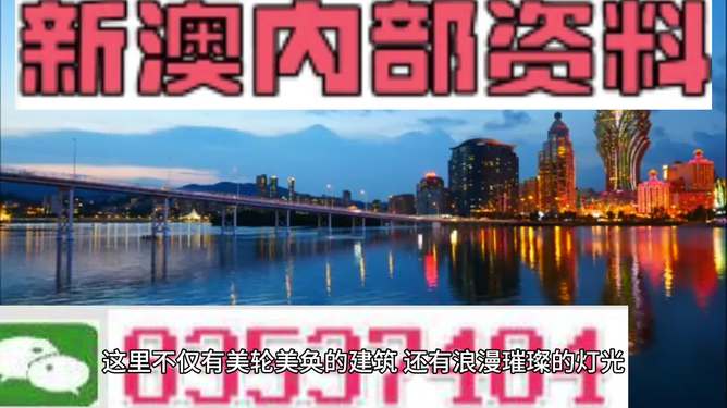 新澳新澳門正版資料的深度解析，澳門正版資料深度解析與解讀